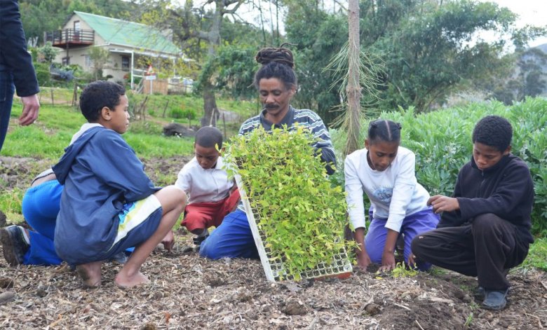 image engaging.jpeg (0.2MB)