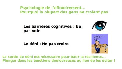 image Impress_Transition_Intrieure_NG_retravaill_VW__psycho_effondrement.jpeg (0.2MB)