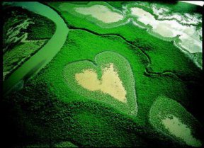 image coeur.jpg (31.2kB)